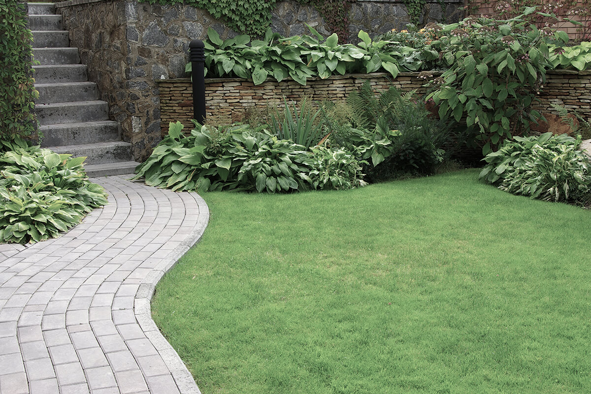 Welcome to Pave Guard Landscaping
